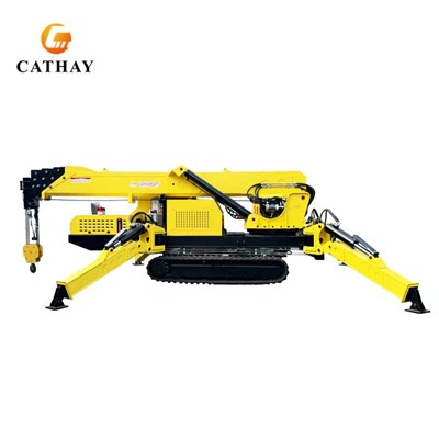 Wynajem dźwigu pająkowego